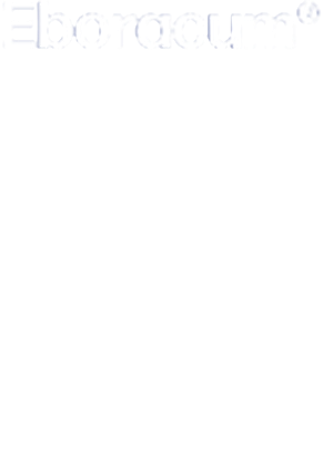 Eboracum